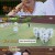 아는 형님.E335.220604.720p-NEXT