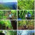 영상앨범 산.E835.220605.1080p.H264-F1RST.mp4