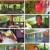 2TV 생생정보.E1566.220606.720p.H264-F1RST.mp4