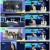 더트롯뉴스.E01.220606.1080p.H264-F1RST