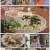 이번주도 잘부탁해.E06.220606.1080p.H264-F1RST