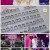 주접이 풍년.E19.220609.1080p.H264-F1RST