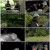 도시의 야생 최강자들_ 이것이 야생이다3_ 220609.mp4