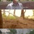 순간포착 세상에 이런일이.E1184.220614.720p-NEXT.mp4