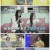 대한외국인.E192.220615.1080p.H264-F1RST