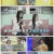 대한외국인.E192.220615.1080p.H264-F1RST.mp4