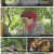 한국인의 밥상.E563.220616.1080p.H264-F1RST.mp4