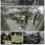 백패커.E04.220616.1080p.H264-F1RST.mp4