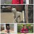 개는 훌륭하다.E131.220620.1080p.H264-F1RST.mp4