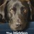 반려동물의 숨겨진 슈퍼파워 The.Hidden.Lives.of.Pets.S01.1080p.NF.WEBRip.DDP5.1.x264-KOGi