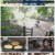 sbs뉴스토리.E382.220625.1080p.H264-F1RST