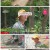 나는 자연인이다.E508.220629.1080p.H264-F1RST