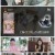 에덴.E04.220705.1080p.H264-F1RST