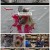 TV 동물농장.E1077.220710.1080p.H264-F1RST