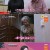 겉과 속이 다른 해석남녀.E23.220713.720p-NEXT