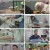 TV 동물농장.E1113.230326.1080p.H264-F1RST.