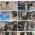 조선의 사랑꾼.E14.230327.1080p.H264-F1RST