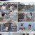 개는 훌륭하다.E167.230327.1080p.H264-F1RST