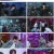 뮤직뱅크.E1157.230331.1080p.H264-F1RST