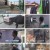 TV 동물농장.E1114.230402.1080p.H264-F1RST