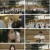 비긴어게인 오픈마이크.E22.230403.1080p.H264-F1RST