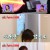 놓친 예능 따라잡기.E116.230406.720p-NEXT