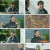 고독한 훈련사.E22.230406.1080p.H264-F1RST