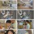 슈퍼맨이 돌아왔다.E473.230407.1080p.H264-F1RST