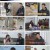 개는 훌륭하다.E169.230410.1080p.H264-F1RST