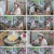 고두심이 좋아서.E50.230411.720p.H264-F1RST