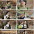 이왜맛 이게 왜 맛있지.E07.230411.1080p.H264-F1RST