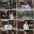벌거벗은 한국사.E51.230412.1080p.H264-F1RST