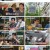 걸어서 환장 속으로.E14.230416.1080p.H264-F1RST