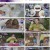 톡파원 25시.E58.230417.1080p.H264-F1RST