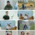 고독한 훈련사.최종회.E24.230420.1080p.H264-F1RST