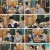 맛있는 녀석들.E425.230421.1080p.H264-F1RST