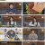 신상출시 편스토랑.E172.230421.1080p.H264-F1RST