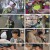 슈퍼맨이 돌아왔다.E475.230421.1080p.H264-F1RST