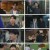 신비한TV 서프라이즈.E1061.230423.1080p.H264-F1RST