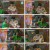 미운 우리 새끼.E340.230423.1080p.H264-F1RST