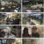 부산촌놈 in 시드니.E01.230423.1080p.H264-F1RST