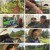 인간극장.E5571.230427.1080p.H264-F1RST