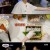 서진이네.E10.230428.720p-NEXT