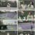내일은 위닝샷.E03.230428.1080p.H264-F1RST