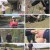 TV 동물농장.E1121.230521.1080p.H264-F1RST