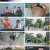 개는 훌륭하다.E175.230522.720p.H264-F1RST
