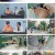 개는 훌륭하다.E175.230522.1080p.H264-F1RST