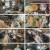 형제라면.첫방송.E01.230522.720p.H264-F1RST