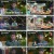 지구탐구생활.E03.230523.1080p.H264-F1RST
