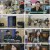 사이아트 코리아.E02.230524.1080p.H264-F1RST